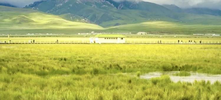 昭苏烈马镇Horse｜草原湖畔太空舱·360°Scenery·全景旷野营地图片