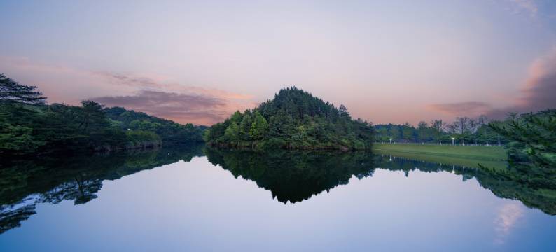 紫晶宾馆(景德镇中国陶瓷博物馆店)图片