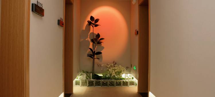 朝阳蓝莲花酒店(朝阳大街店)图片