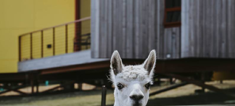铁溪湾庄园(Iron Creek Bay Estate)图片