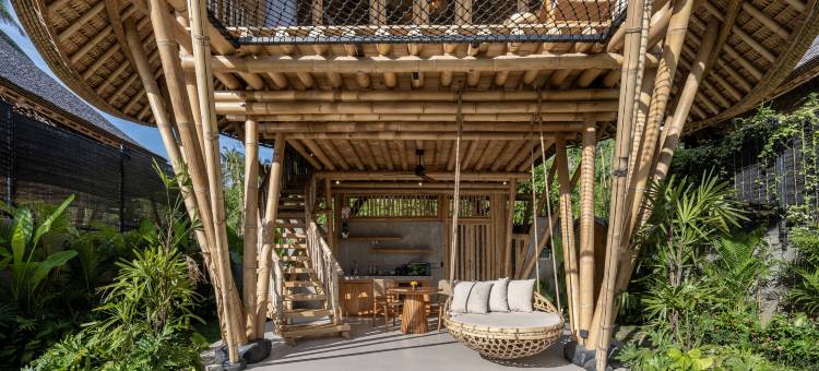 埃马纳竹景(Emana Bambooscape)图片