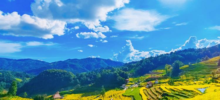 寻以·田园山居图片