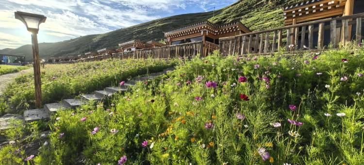 阿坝本初清凉·庄园图片