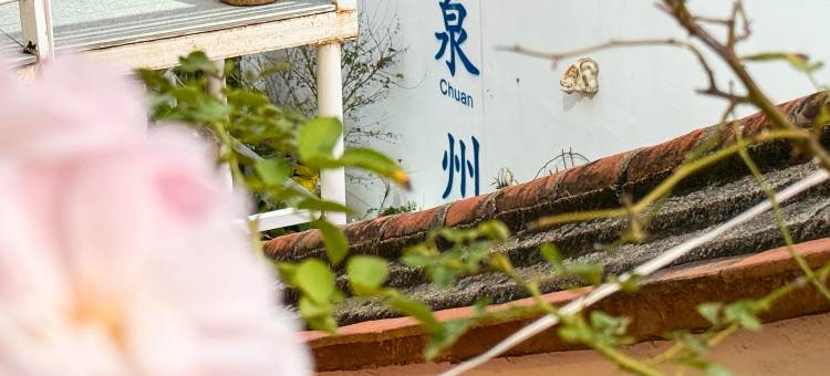 肆相民宿(西街钟楼店)图片