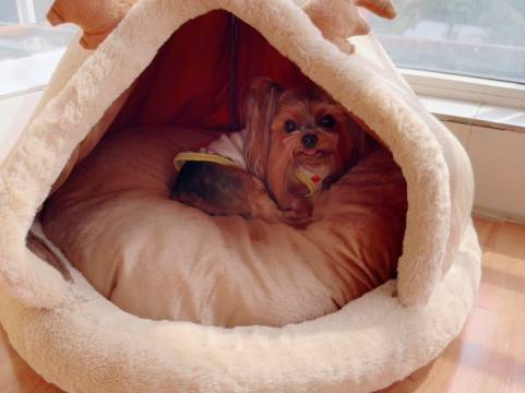 洪湖建设酒店(沿河西路店)图片