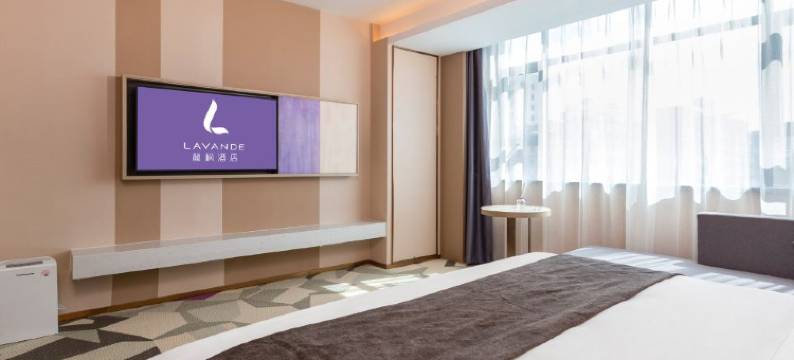 麗枫酒店(东莞大朗松山湖北站店)图片