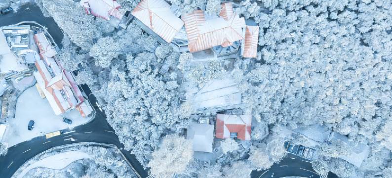 林墅酒店(莫干山景区内荫山街换乘处店)图片