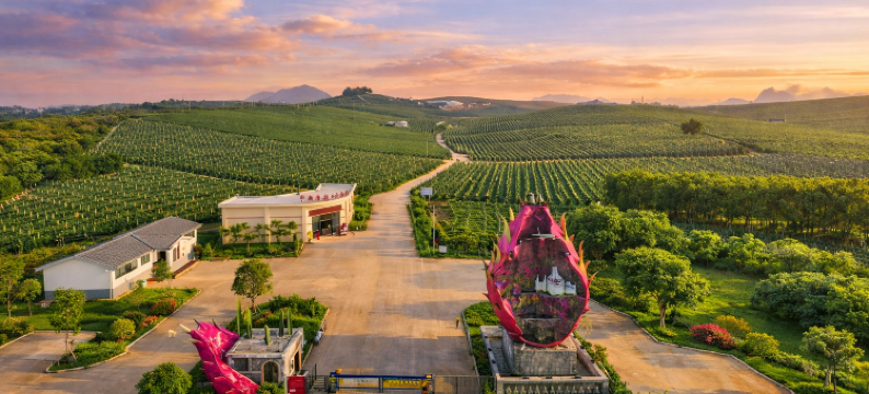 艾美酒店(隆安那桐浪湾大道店)图片