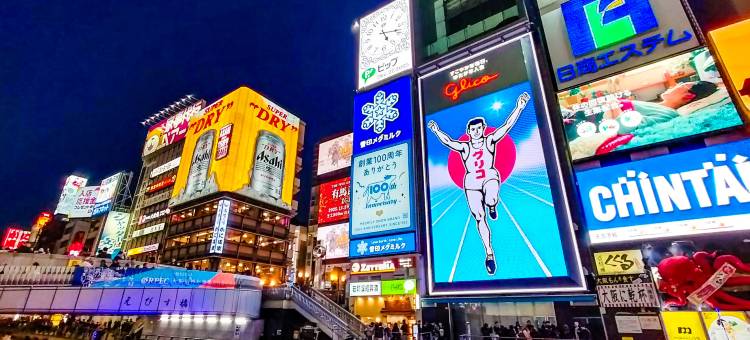 大阪难波日本桥海茵娜快捷酒店Annex(Henn na Hotel Express Osaka Namba Nipponbashi Annex)图片