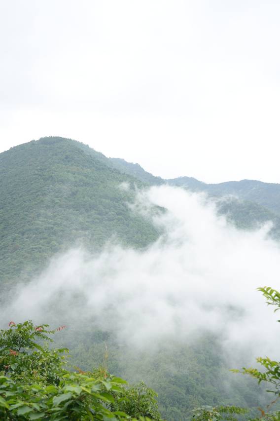 华蓥十里芳菲红岩美村图片