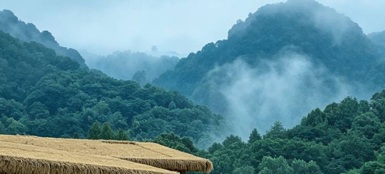 星汉相约·山野Starfall Hermitaget民宿(青城山景区店)图片
