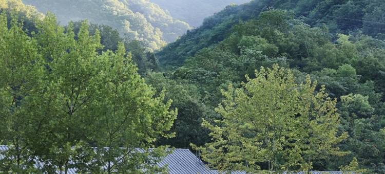 隐居乡里左手香民宿图片