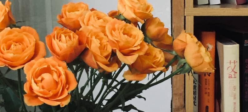 西双版纳八南那青年旅舍图片