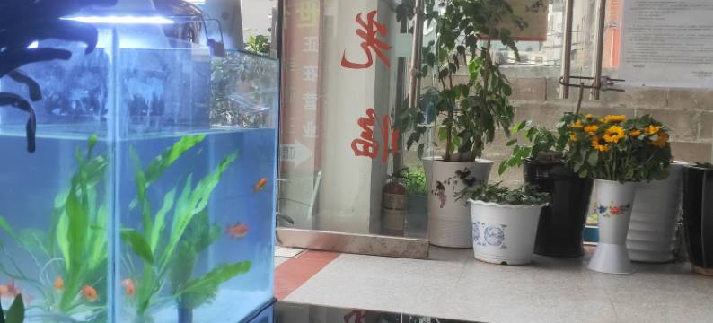 玉溪世合宾馆(玉河店)图片