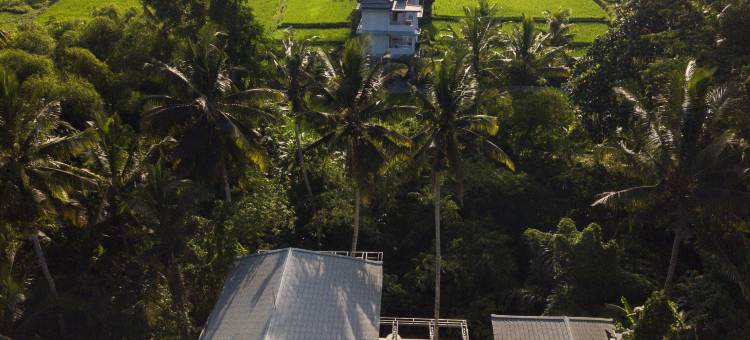 乌布苏阿拉阿拉姆酒店-Ini Vie Hospitality旗下(Suara Alam Hotel Ubud by Ini VIE Hospitality)图片