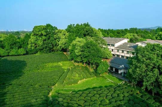 杭州殊胜龙井酒店(西湖灵隐店)图片