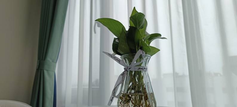 天禧·时光美宿(佛山高明信盛广场店)图片