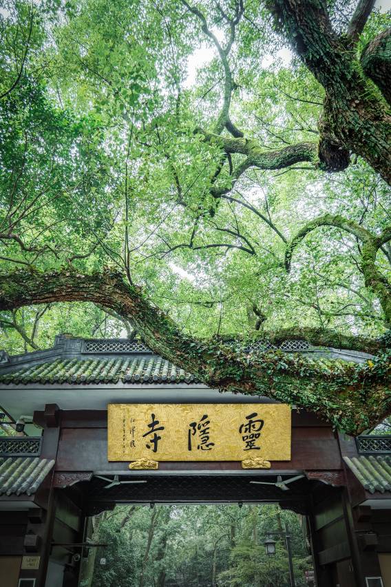 花筑·阿蘭若 | Cloud Retreat 灵隐步驿·北峰禅居(灵隐寺店)图片