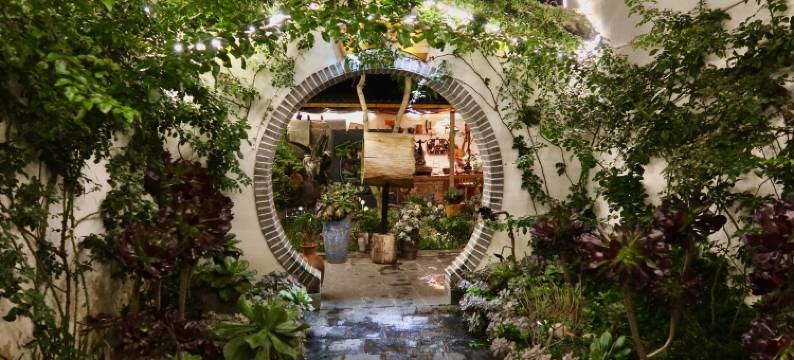 大理晚照小院图片