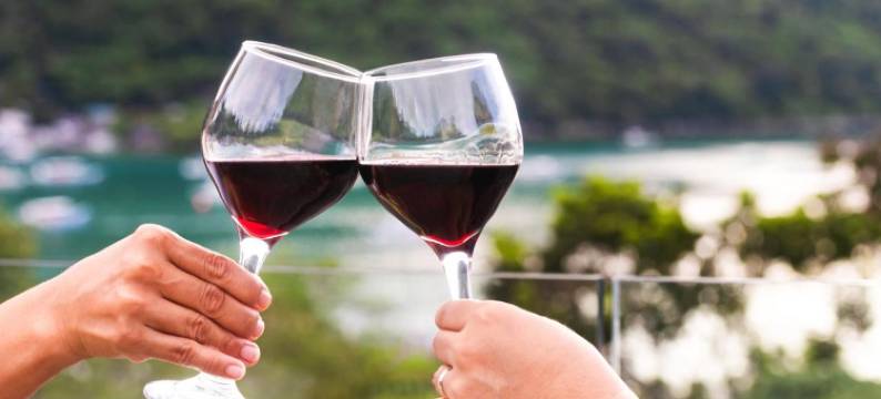 有趣的狮子酒店-爱妮岛(The Funny Lion - El Nido)图片