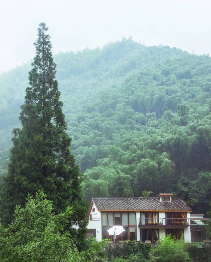 大乐之野(莫干山碧坞店)图片