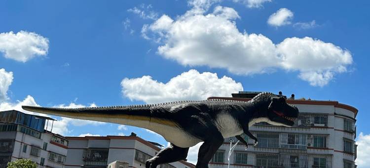 瑞缘影院公寓(中央名城店)图片