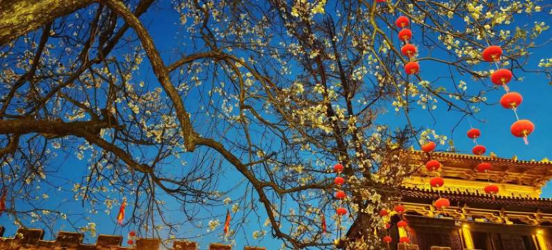 广元接官亭客栈图片