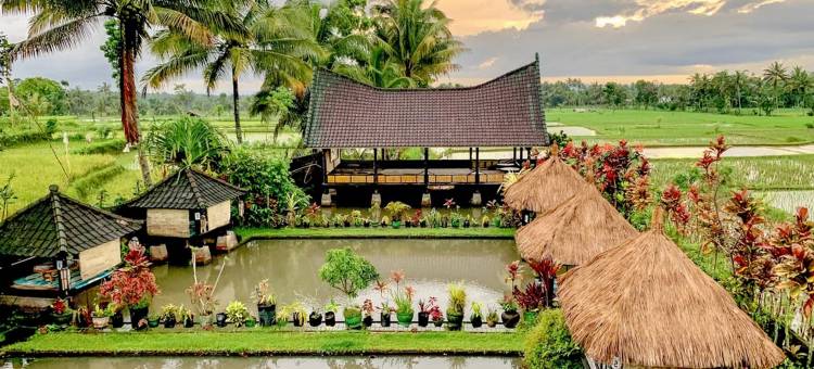 Lesehan Cahaya Tetebatu Inn Syariah at Desa Wisata图片