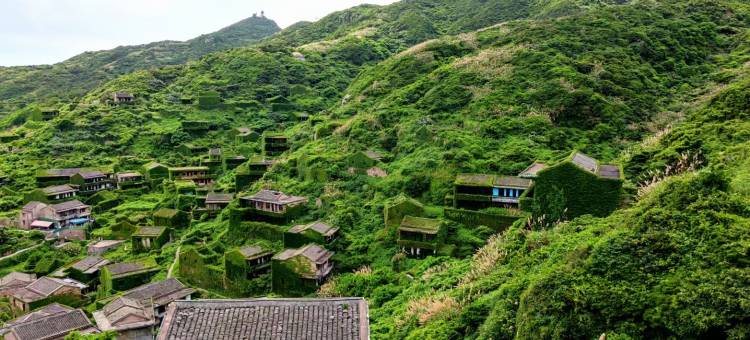 嵊山枸杞岛书白民宿图片