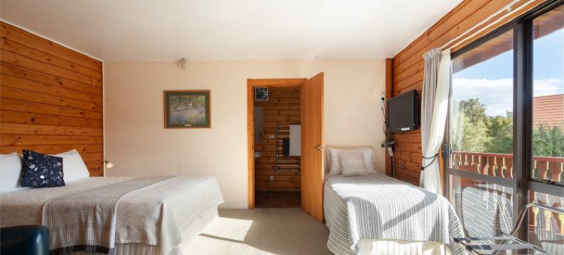 福克斯冰河旅馆(Fox Glacier Lodge)图片