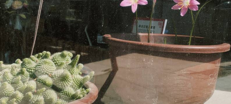 北极村浪漫之旅民宿图片