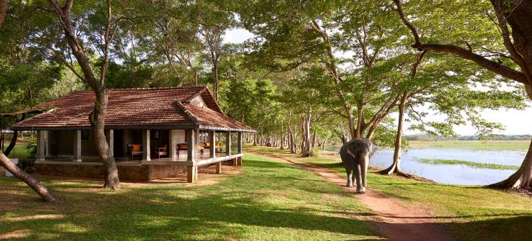 辛纳蒙·哈伯瑞纳度假村(Habarana Village by Cinnamon)图片