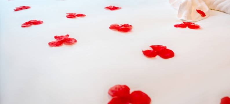 麗枫酒店(北京沙河站巩华城大街店)图片