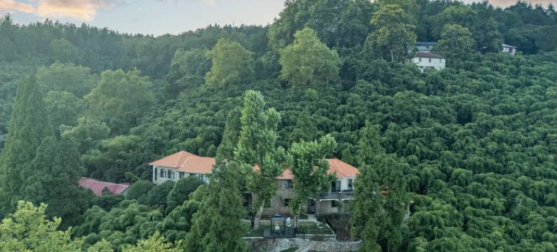 林墅酒店(莫干山景区内荫山街换乘处店)图片