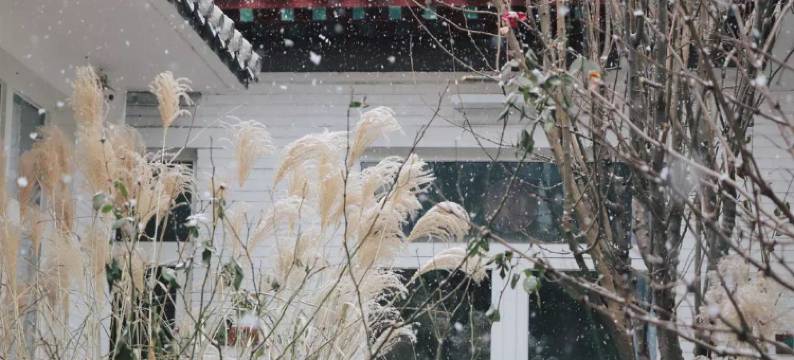 北平花园·北平小院四合院酒店(北京西单金融街店)图片