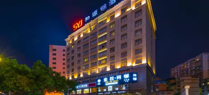南宁松源锦酒店(金湖广场地铁站店)图片
