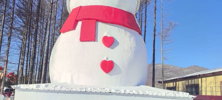 寒酥庄园酒店(亚布力滑雪旅游度假区)图片