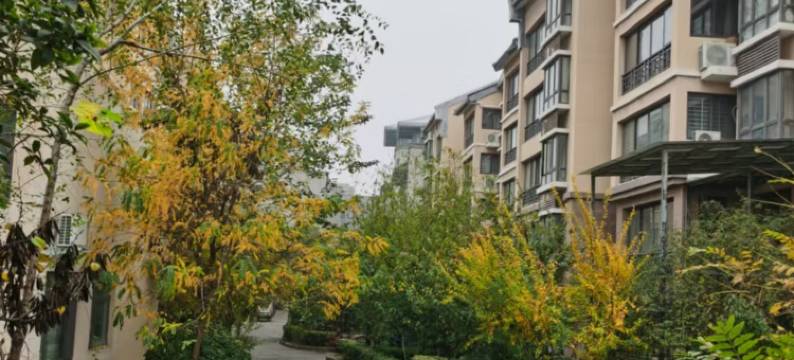 开封漫时光精品民宿图片