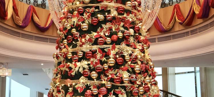 深圳阳光酒店图片