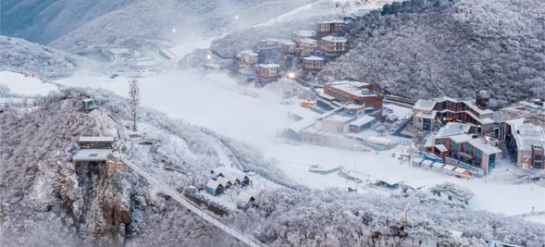 桂花树下·岙居亲子赏雪度假美宿(山沟沟景区)图片