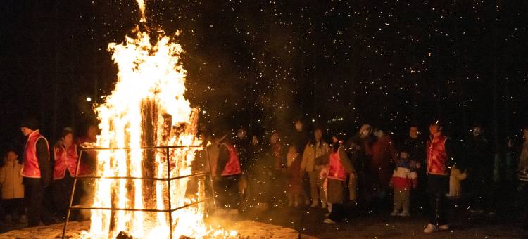 乌镇乌村酒店图片
