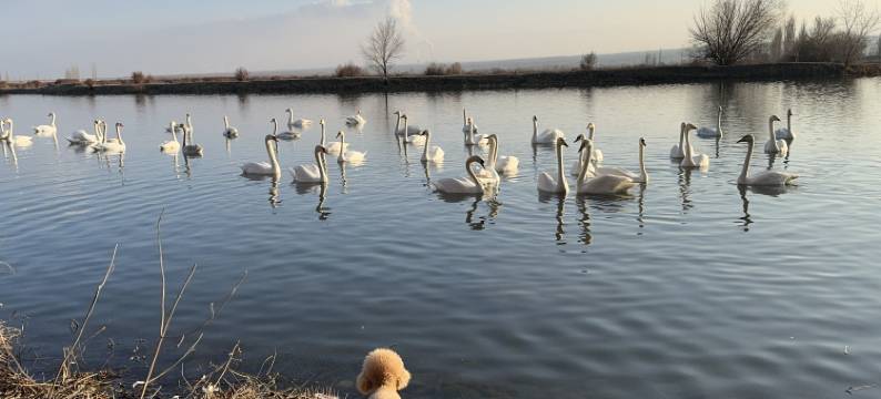 冈仁波齐青年旅舍(六星街店)图片