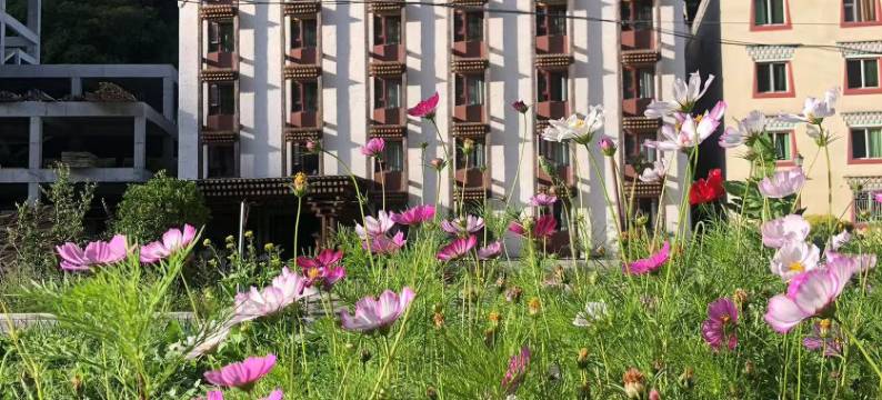 理县阿郎风情酒店(古尔沟景区店)图片