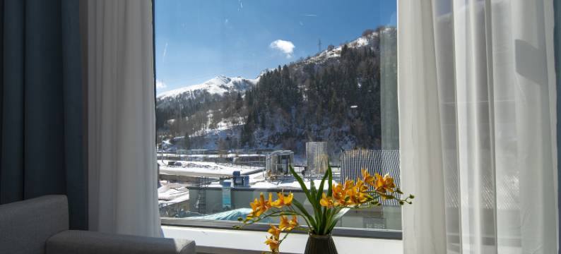 尼勒克蜂巢印象民宿图片