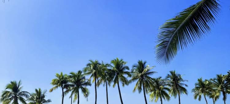 小鹿辰客·海澜湾酒店(三亚湾凤凰国际机场店)图片