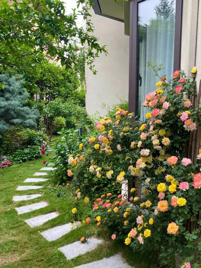 拾野间·Morning Light∣邂逅·纳西花语度假美院(束河古镇店 )图片