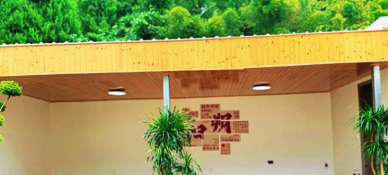 枕畔・山涧云舍|森林吸氧360°悬浮全景美墅(阳朔十里画廊遇龙河店)图片