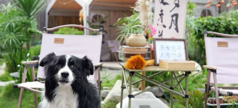 一揽芳华海景花园民宿(大理才村码头店)图片