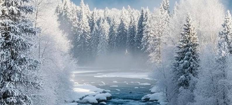 不如野·奢·林时有事Forest设计师度假民宿(喀纳斯景区店)图片