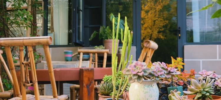 风雅颂居民宿(万岁山武侠城清明上河园店)图片